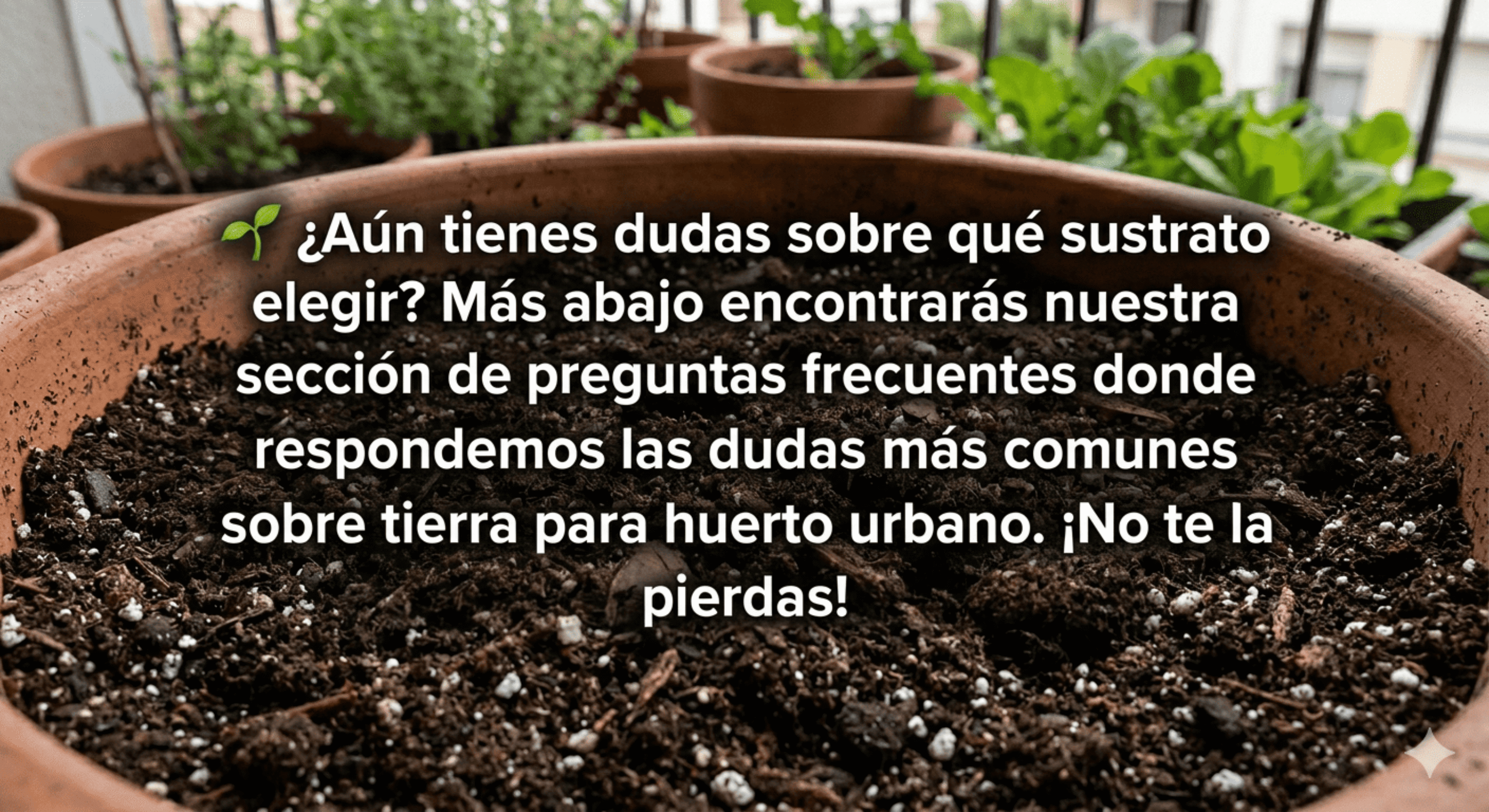 Dudas sobre que sustrato elegir para huerto urbano