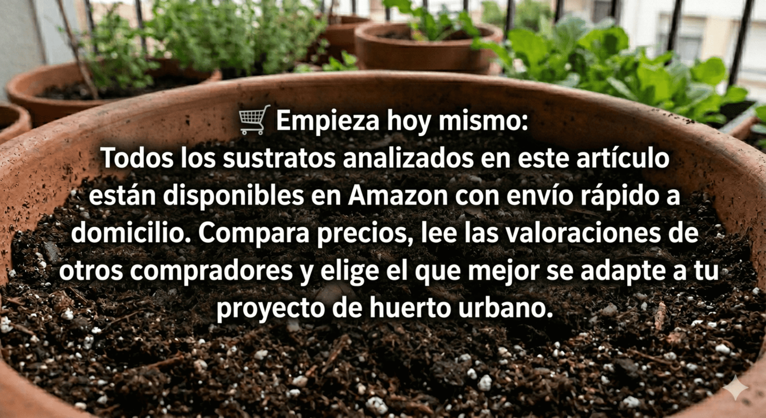 Huerto urbano 2