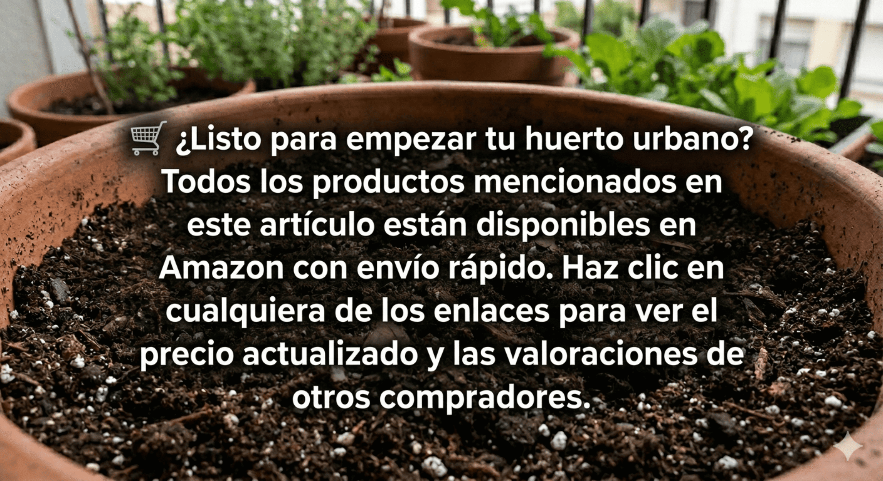 Huerto urbano