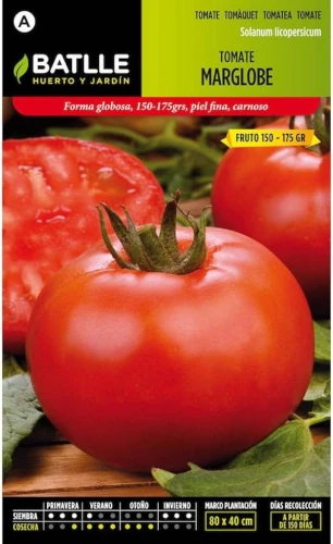 Semillas Batlle Tomate MARGLOBE